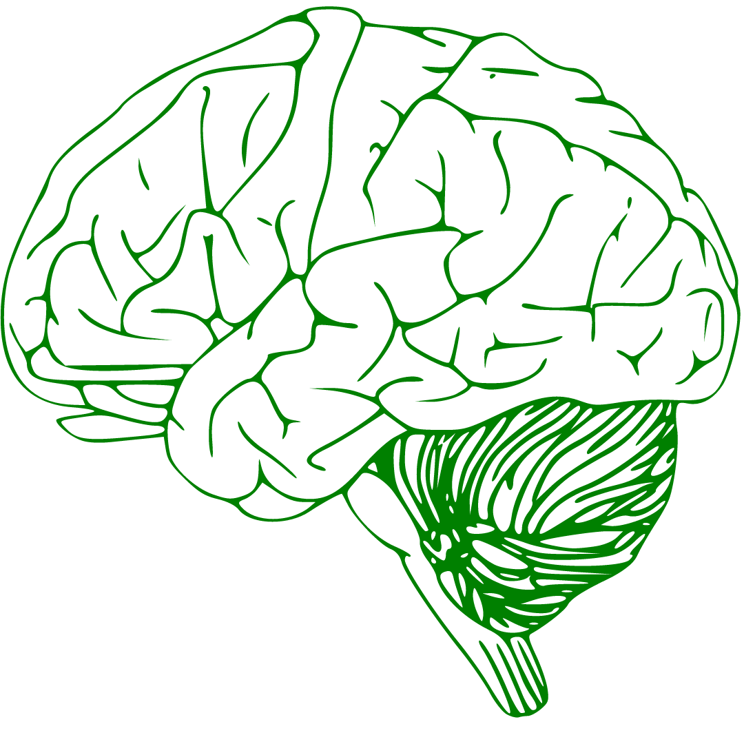 Nervensystem Regulation